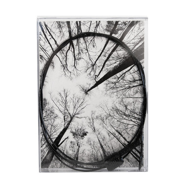 TRENDFORM Portafoto a sospensione TF1150 8 Magnete, 150cm