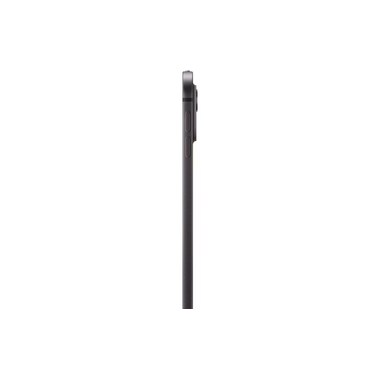 Apple iPad Pro 13" M4 Nano Cellular 2024 2000 GB Space Black