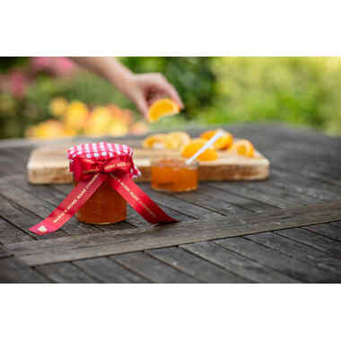 PTOUCH Nastro rosso/oro TZE-RW54 Sistemi Tze 24mm