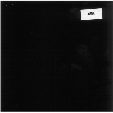 NEUTRAL Papier bordager 495 noir 3mx50cm