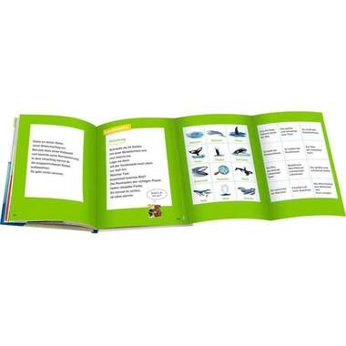 Ravensburger Livres pratiques pour enfants WWW Erstleser: Wale und Delfine