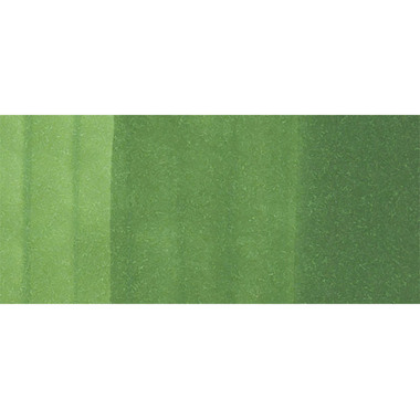 COPIC Marker Sketch 21075205 YG67 - Moss