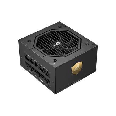 Sharkoon Alimentatore Rebel P20 Platinum 1000 W, Nero