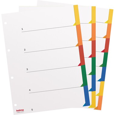 KOLMA Répertoires LongLife A4 19.064.20 multicouleur 6 div.