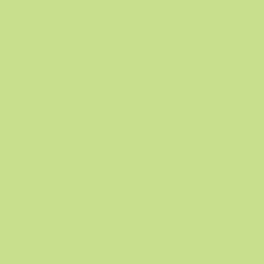 PAPYRUS Rainbow Paper FSC A4 88042608 80g, vert vif 500 feuilles