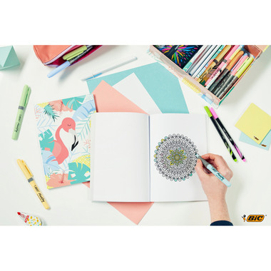 BIC My Stationery Box 972195 25 pezzi ass.