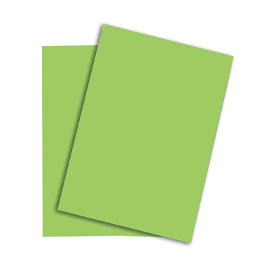 PAPYRUS Rainbow Paper FSC A3 88042660 160g, verde 250 fogli