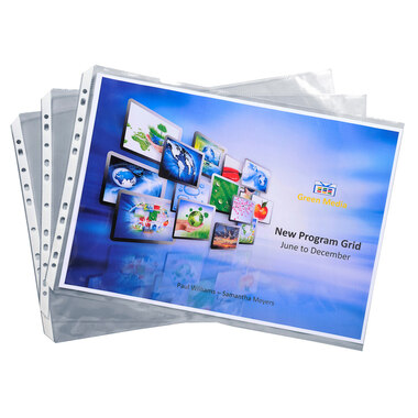 EXACOMPTA Zeigetaschen, genarbt A3 6210E PP, gelocht, 100my