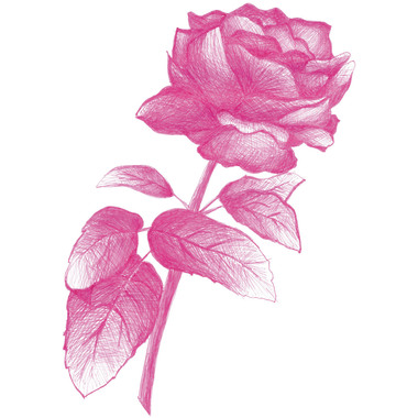 COPIC Multiliner 0.3mm 22075620 Color Set, 10 pcs.