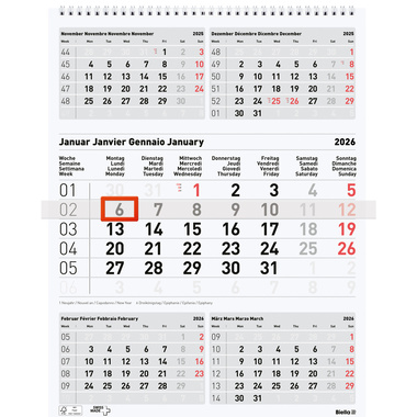 BIELLA 5-Monatskalender Wire-O 2026 889030000026U 5M/1S grau ML 31x40cm