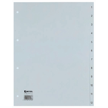 HETZEL Registro A4 25256481 grigio 1-12