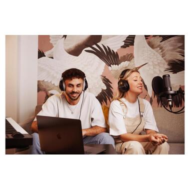 Beyerdynamic Casques supra-auriculaires DT 770 Pro Black 80 Ω