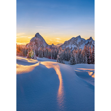 CALENDARIA Agenda Photo-Almanach 2026 9783036205120 1S/1P ML A5