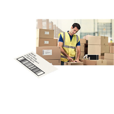 LEITZ Etiquettes cont. Icon papier 70180001 50x88mm 435 pcs. perm.