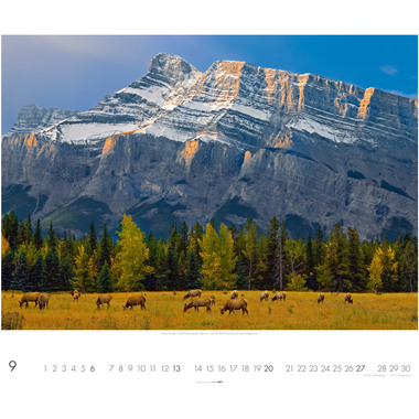 WEINGARTEN Calendario 2026 3312191+26 Kanada DE 55x46cm