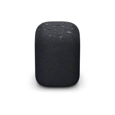 Sony Haut-parleur Bluetooth LinkBuds Noir