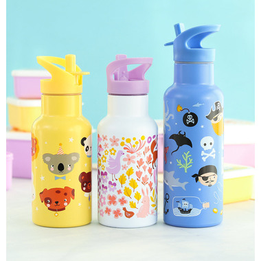 ALLC Gourde XL 500ml DBSXPI90 Pirates