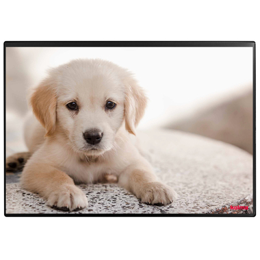 KOLMA Sous-main 35.553.20 Dog 50x34cm