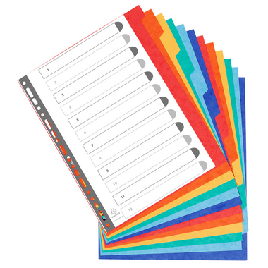 EXACOMPTA Kartonregister A4+ 2612E intensiv 12-teilig