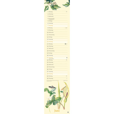 HEYE Edith Holden Natur 2026 1405+26 AL 11x49cm