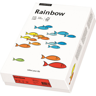 RAINBOW Papier mittelorange/22 A4 88043129 FSC, 160g 250 Blatt