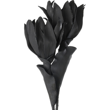 EGLO Fiore artificiale MOLAVE 428122 nero