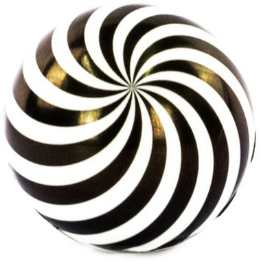 ROOST High Bounce Illusion Ball NV596 noir / blanc