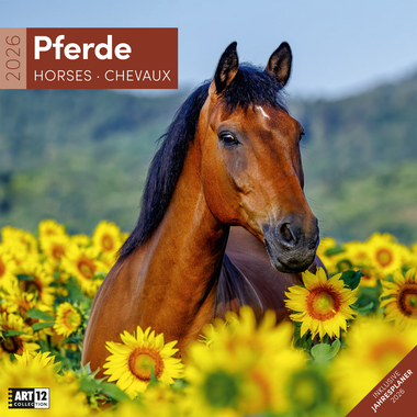 ACKERMANN Calendario 2026 4621 Pferde ML 30x30cm