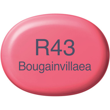 COPIC Marker Sketch 21075286 R43 - Bougainvillaea