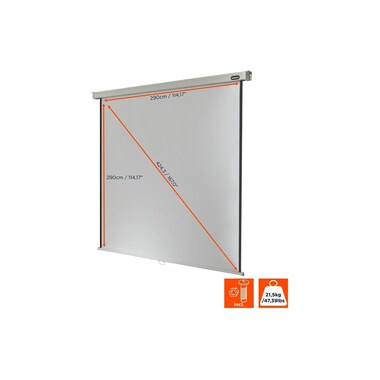 Celexon Roll-Up Screen Pro 290x290 cm 1:1