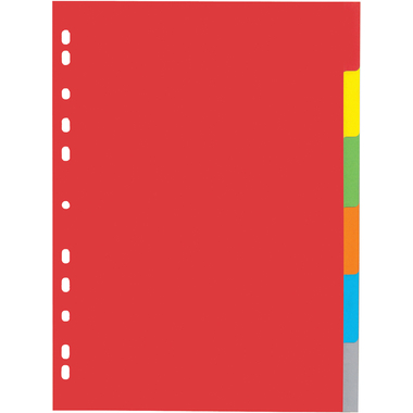 PAGNA Répertoires Karton A4 31061-20 intensive 6 pcs.