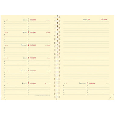 QUO-VADIS Agenda Soho Note15S 2026 679049Q 1S/2P rosa FR 10x15cm