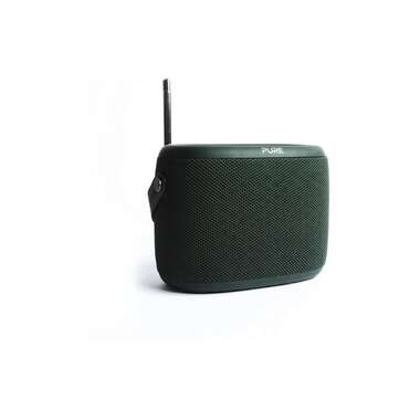 Pure Radio Woodland Grün