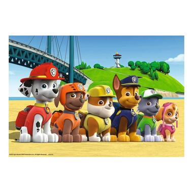 Ravensburger Paw Patrol: Heldenhafte Hunde