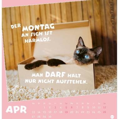 HEYE Postkarten.Kalender Pause 2026 23023+26 1M/1S DE 16x17cm