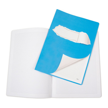 ELCO Quaderno A4 73061.37 quadrettato blu