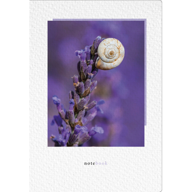 NATUR VERLAG Taccuino crushpaper A5 11003N lavanda foto, puntinato