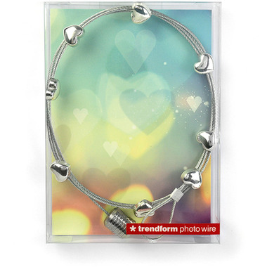 TRENDFORM Portafoto a sospensione FA4300 8 Magnete, 150cm