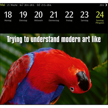 HARENBERG Cal. de cartes postales 2026 3310183+26 Animal Memes 16x17.5cm