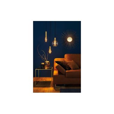 Paulmann Lampe Vintage Kolben 4 W (21 W) E27 Ringmuster