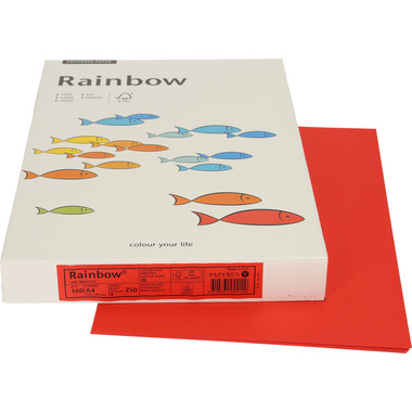 RAINBOW Papier intensivrot/28 A4 88043132 FSC, 160g 250 Blatt