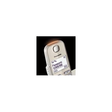 Panasonic Cordless Phone KX-TGE250SLN Champagne