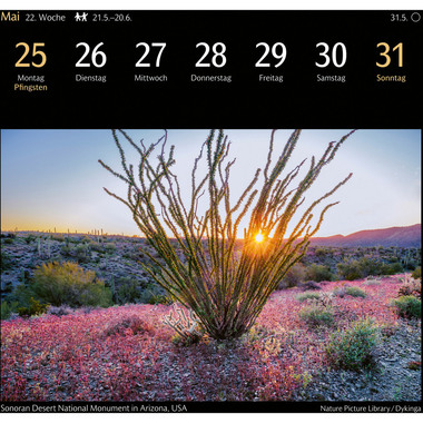 HARENBERG Calendario in cartolina 2026 3310116+26 Magic Nature DE 16x17.5cm