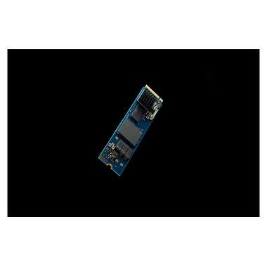 Kingston SSD DC2000B M.2 2280 NVMe 960 GB