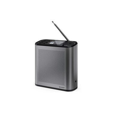 Sharp DAB+ Radio DR-P530 Grigio