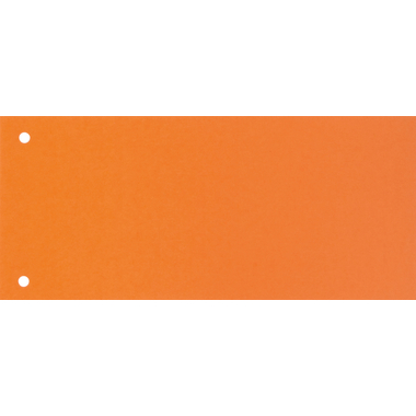 BIELLA Divisori cartone 2 fori 19919035U arancione, 24x10.5cm 100 pezzi