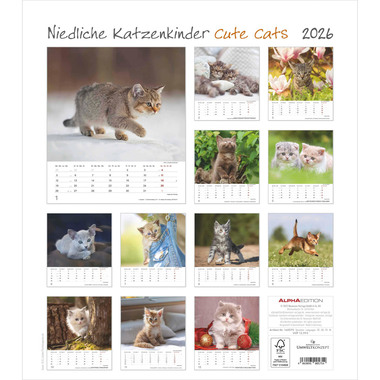 ALPHA EDITION Calendrier 2026 160575 Chatons ML 30x34cm
