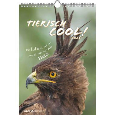 ALPHA EDITION Bildkalender 2026 160492 Tierisch cool! DE 23.7x34cm