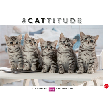 HEYE Calendrier 2026 1130+26 Chats Whiskas AL 45x30cm