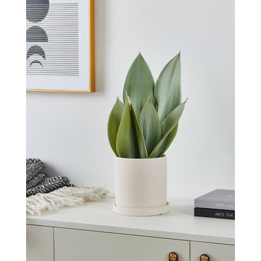 EGLO Kunstpflanze 41.5cm 428387 grün, im Topf